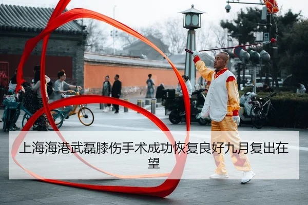 shang-hai-hai-gang-wu-lei-xi-shang-shou-shu-cheng-gong-hui-fu-liang-hao-jiu-yue-fu-chu-zai-wang-2-806.jpg