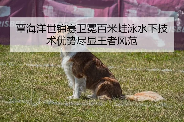 覃海洋世锦赛卫冕百米蛙泳水下技术优势尽显王者风范